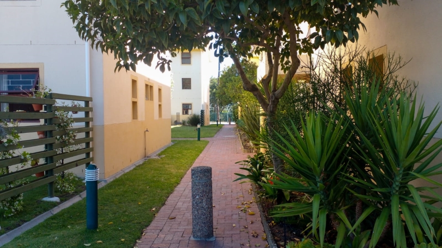 To Let 3 Bedroom Property for Rent in Pinelands Western Cape
